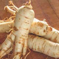ingredients-sugardefender-koreanginseng